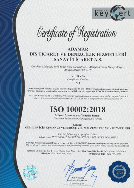 iso 10002 1