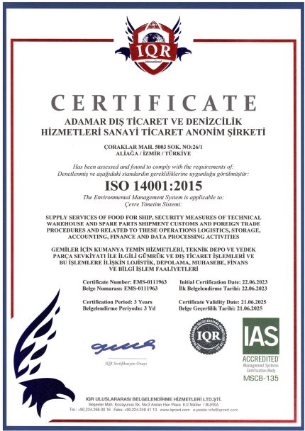 iso 14001 1
